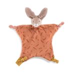 5242--NANINHA-COELHINHO-CLAY-TROIS-PETITS-LAPIN-MOULIN-ROTY---1-