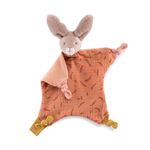 5242--NANINHA-COELHINHO-CLAY-TROIS-PETITS-LAPIN-MOULIN-ROTY---3-