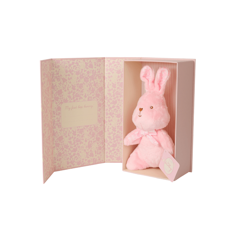 7527-Pelucia-Bup-Bunny-216-Cm-Rosa-05.png