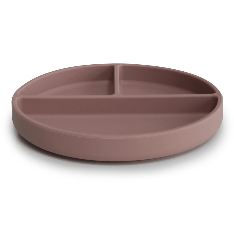 7780 - PRATO DE SILICONE COM DIVISORIAS E VENTOSA ROSE 03.png
