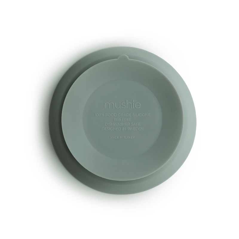 BOWL DE SILICONE COM VENTOSA VERDE 03.png