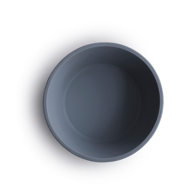 BOWL DE SILICONE COM VENTOSA AZUL 1.png