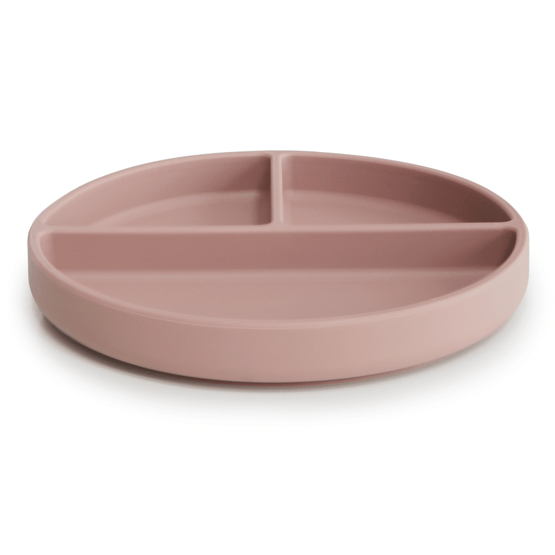 7766---PRATO-DE-SILICONE-COM-DIVISORIAS-E-VENTOSA-ROSA-02.png