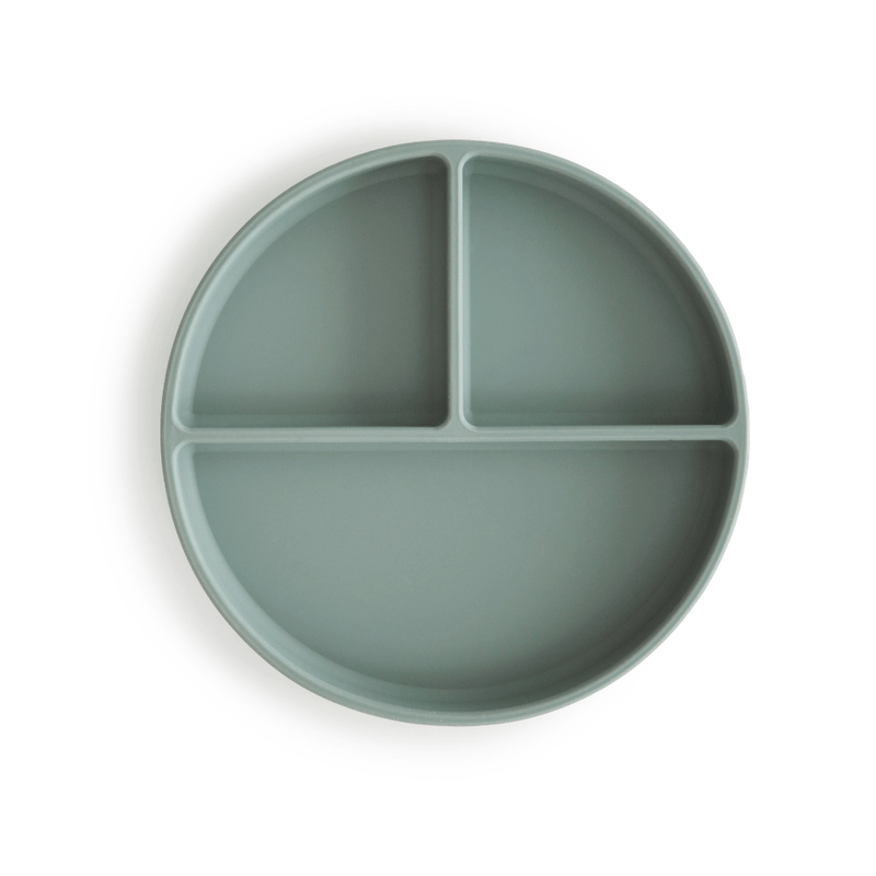 7767---PRATO-DE-SILICONE-COM-DIVISORIAS-E-VENTOSA-VERDE-01.png