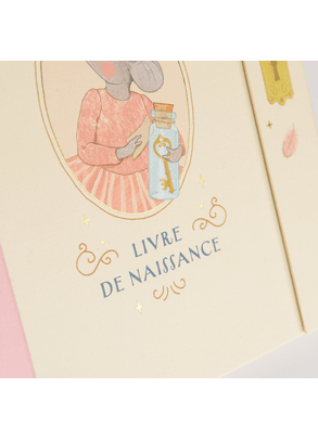 Álbum Lembranças Do Meu Nascimento Petite Ecole De Danse Moulin Roty